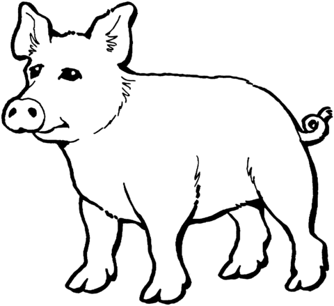 Cute Pig Coloring Page